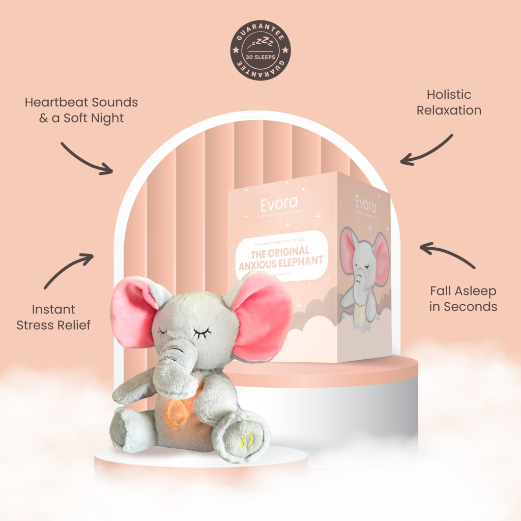 The Relief Koala